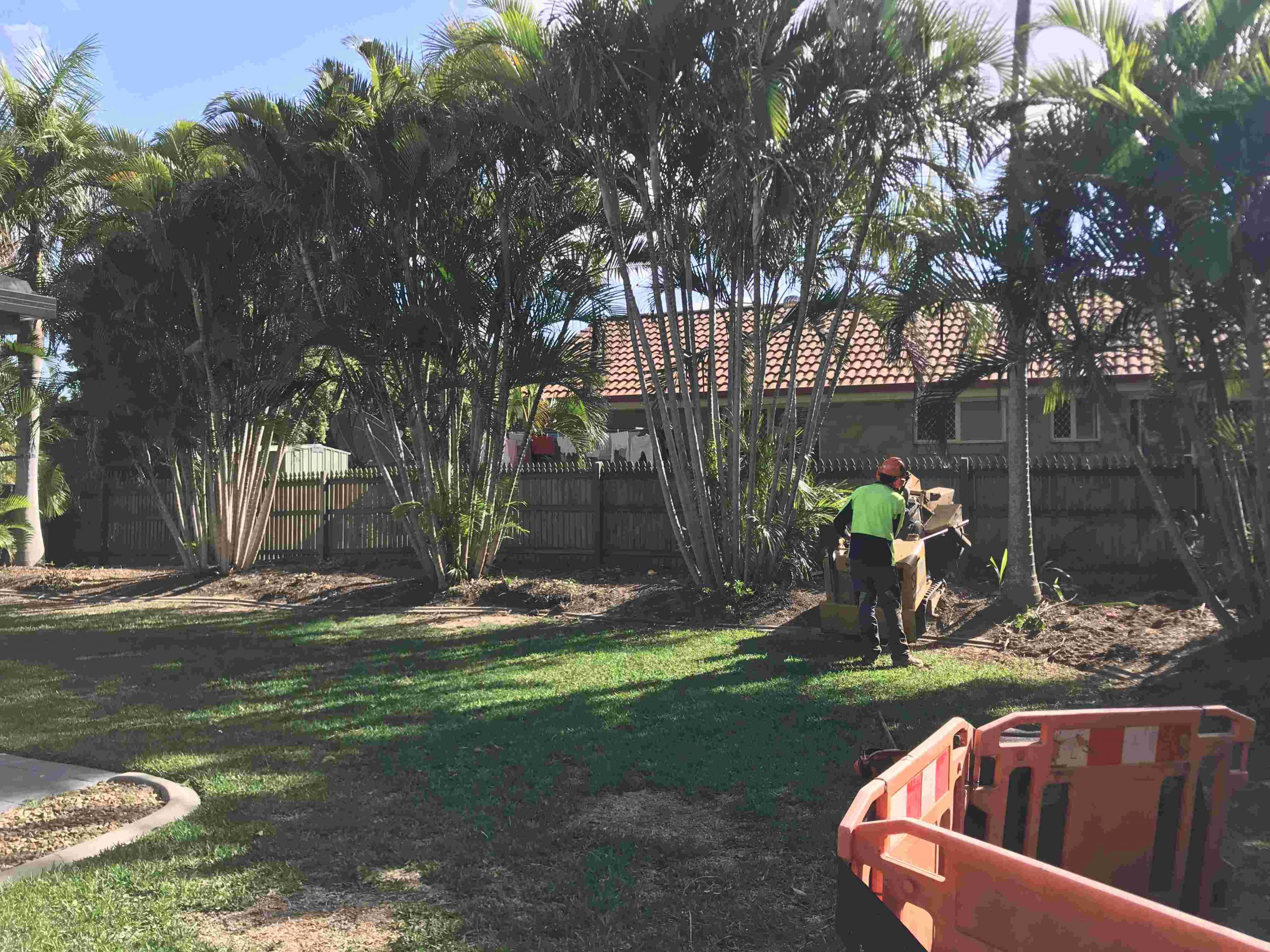Revolutionizing Tree Lopping and Stump Removal in South Brisbane